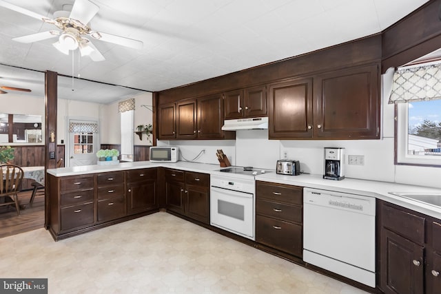 kitchen featuring under cabinet range hood, white appliances, dark brown cabinetry, light countertops, and ceiling fan