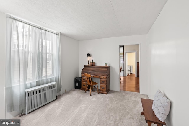 home office with radiator and carpet