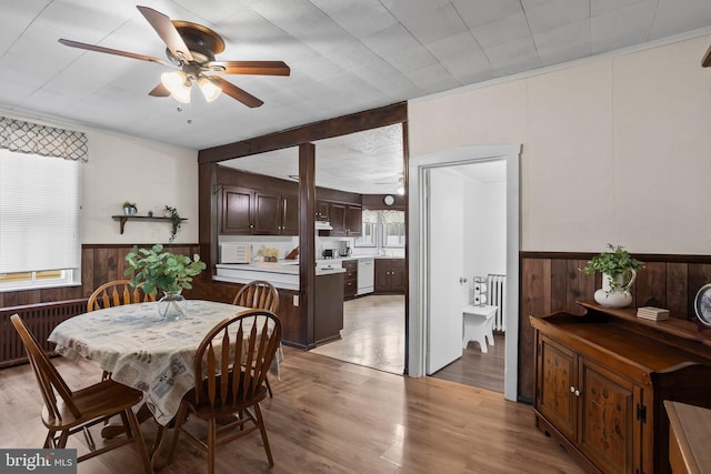 dining room featuring light wood-style flooring, wooden walls, ceiling fan, and wainscoting