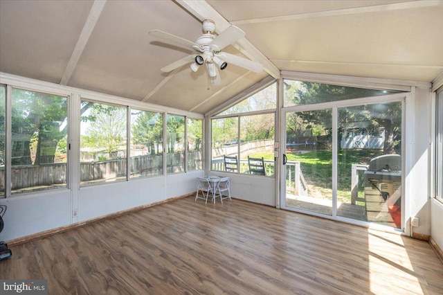 unfurnished sunroom with vaulted ceiling with beams, a ceiling fan, and wood finished floors