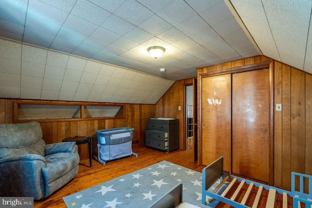 interior space featuring a closet, wood walls, lofted ceiling, and wood finished floors