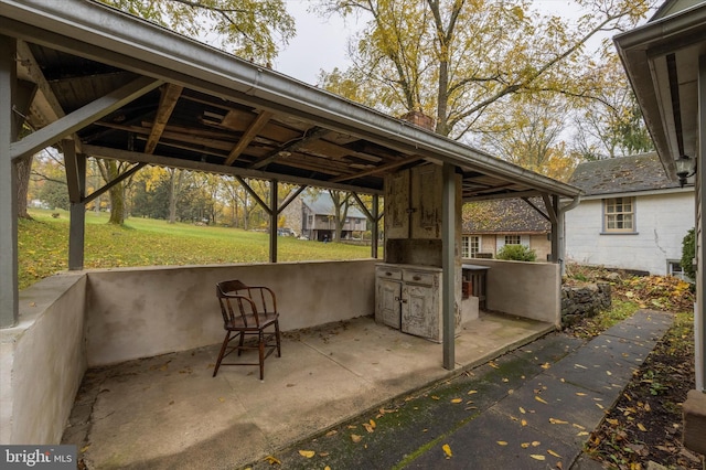 view of patio / terrace featuring an outdoor kitchen