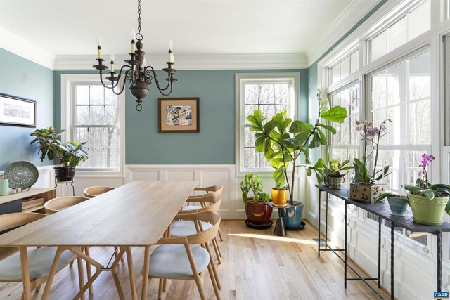 3535 Foxwood Dr, Barboursville, VA 22923 - dining area featuring a notable chandelier, wainscoting, light wood-type flooring, and ornamental molding