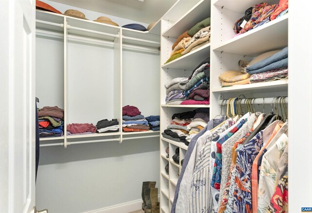 3535 Foxwood Dr, Barboursville, VA 22923 - view of spacious closet