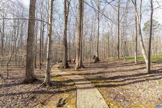 3535 Foxwood Dr, Barboursville, VA 22923 - exterior space
