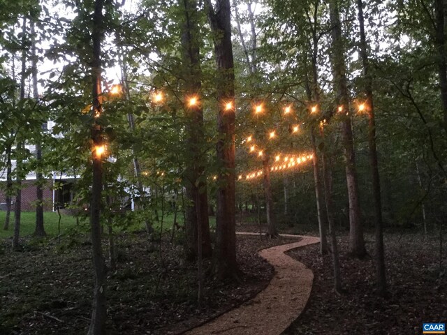 3535 Foxwood Dr, Barboursville, VA 22923 - view of yard
