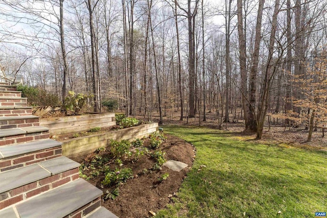 3535 Foxwood Dr, Barboursville, VA 22923 - view of yard