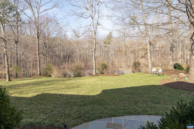 3535 Foxwood Dr, Barboursville, VA 22923 - view of yard featuring a forest view
