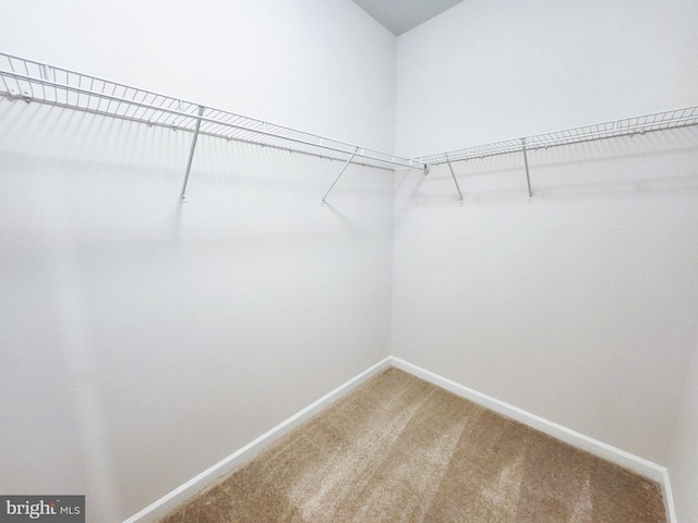 spacious closet featuring light carpet