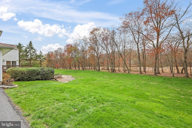 view of yard