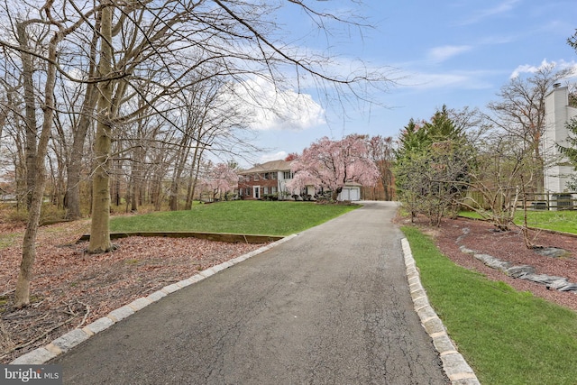 view of street with curbs
