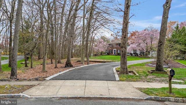 surrounding community with a yard and curved driveway