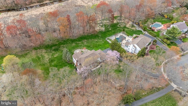 drone / aerial view