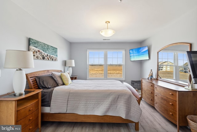 bedroom featuring multiple windows, visible vents, and light wood-type flooring