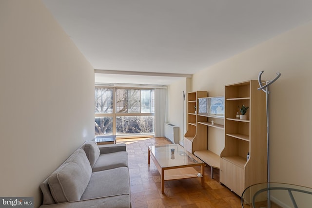 living area with radiator