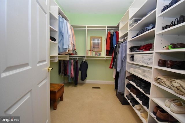 spacious closet featuring carpet floors
