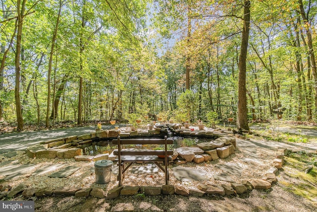 view of yard with a forest view