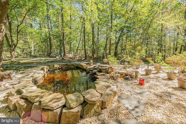 view of yard with a view of trees