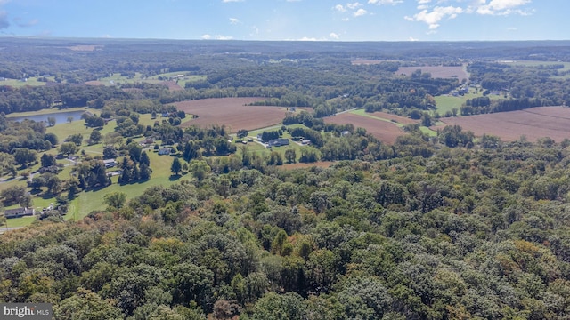 bird's eye view featuring a forest view and a water view