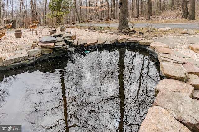 details featuring a garden pond