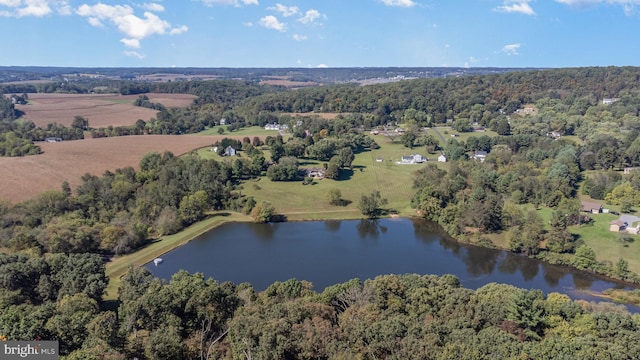 bird's eye view with a view of trees and a water view