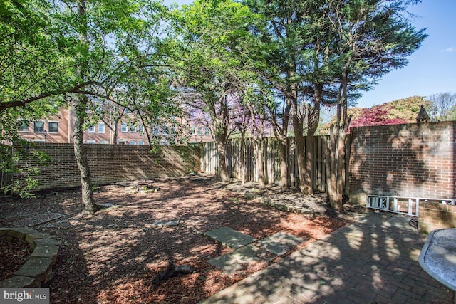 view of yard featuring a fenced backyard