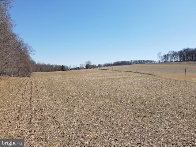 view of yard featuring a rural view