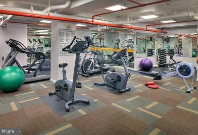 workout area featuring carpet floors