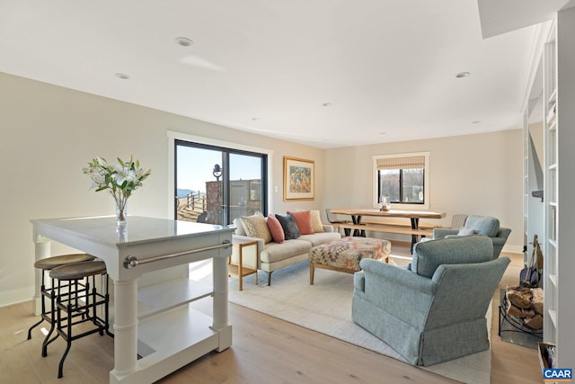 living room featuring light wood-style floors and a healthy amount of sunlight