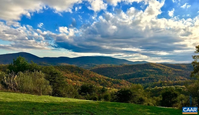 view of mountain feature with a wooded view