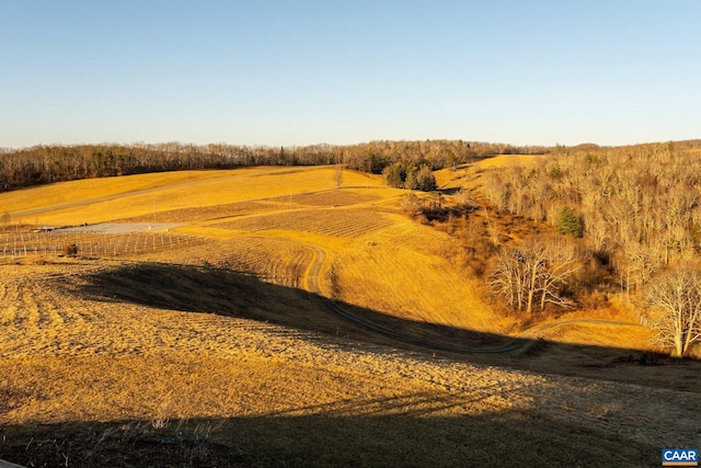 view of local wilderness