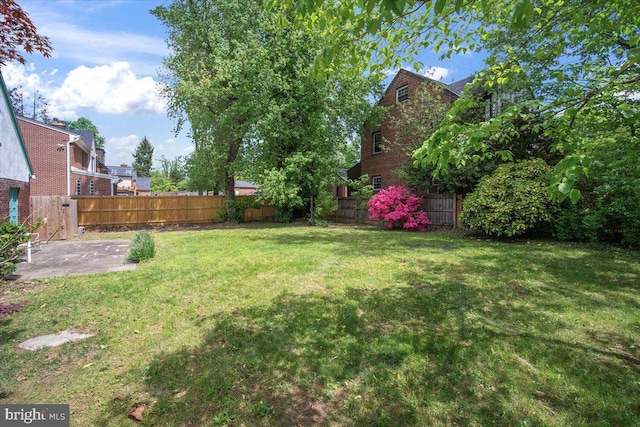 view of yard featuring a fenced backyard and a patio area