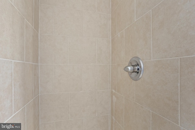 interior details featuring tiled shower