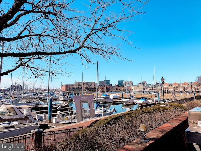 dock area featuring a water view