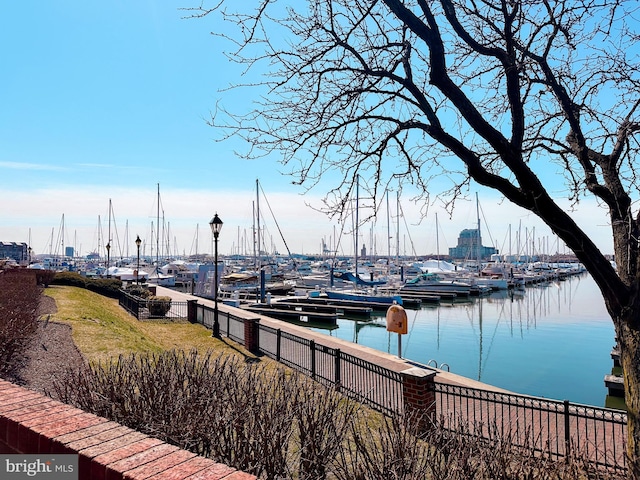 dock area with a water view