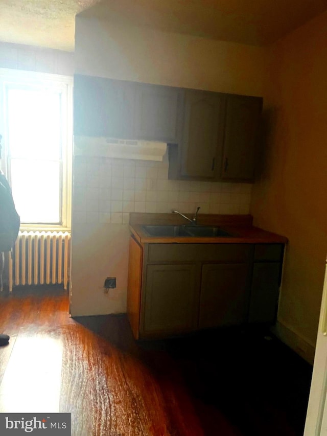 kitchen with decorative backsplash, radiator, wood finished floors, and a sink