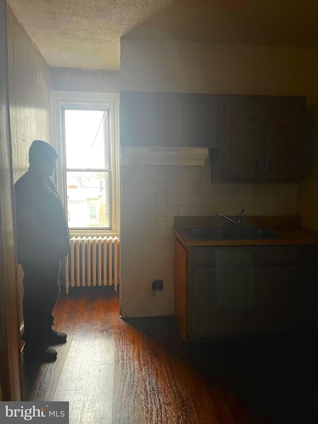 kitchen with a textured ceiling, radiator, wood finished floors, and a sink