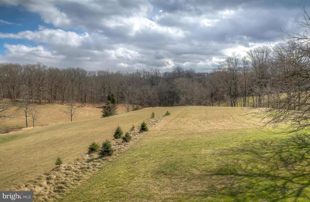 view of yard featuring a wooded view