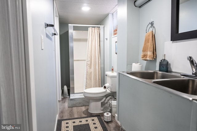 full bathroom with wood finished floors, toilet, a stall shower, and vanity