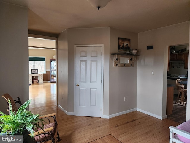 interior space with baseboards and wood-type flooring