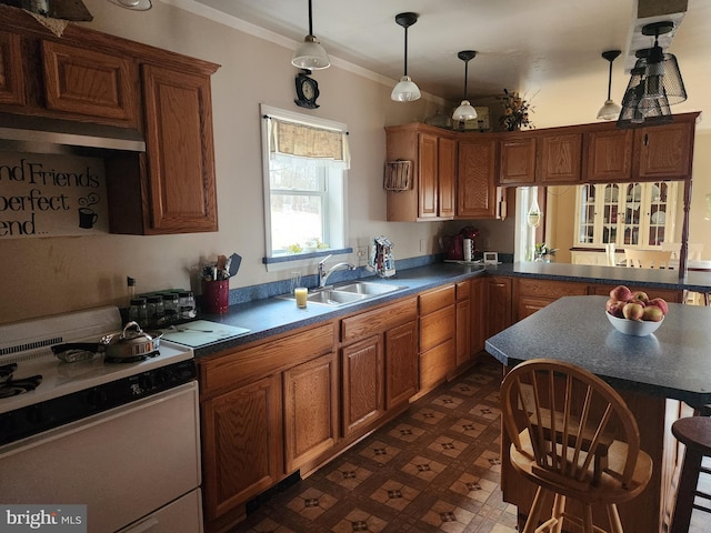 kitchen with dark countertops, crown molding, dark floors, white gas stove, and a sink