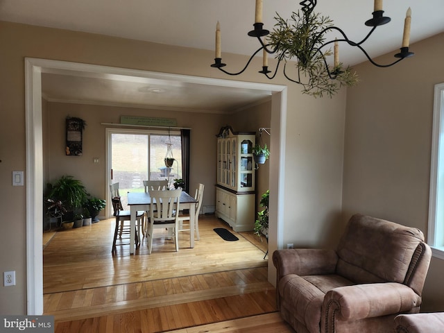 dining room featuring a chandelier, light wood-style flooring, and crown molding