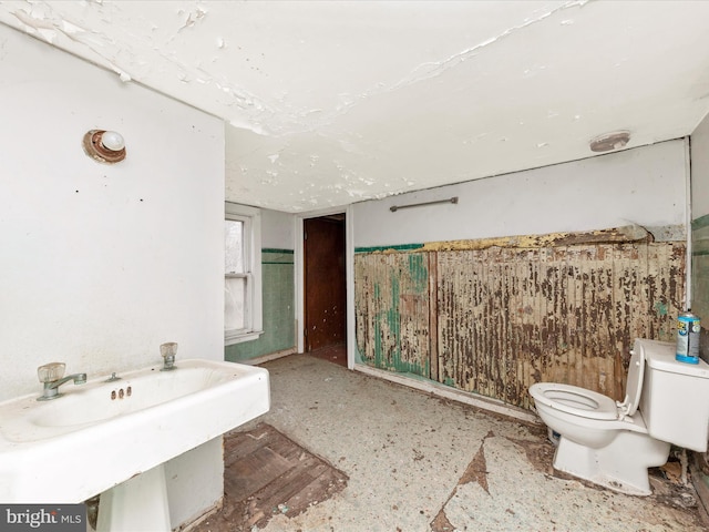 bathroom featuring a sink and toilet