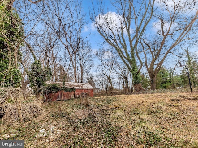 view of yard with an outdoor structure