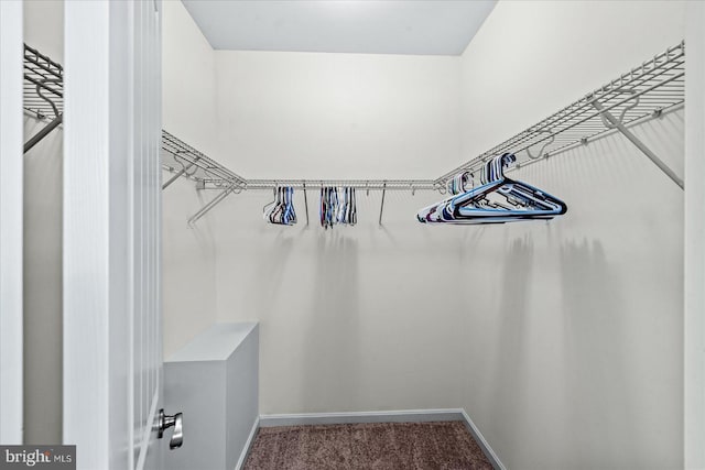 spacious closet with carpet flooring