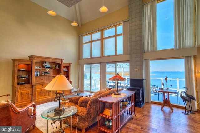 living room featuring a wealth of natural light, wood-type flooring, high vaulted ceiling, and baseboard heating