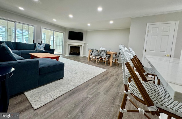 living room featuring crown molding, recessed lighting, wood finished floors, and a high end fireplace