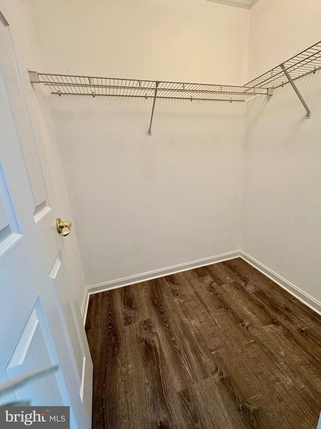 walk in closet with dark wood-type flooring