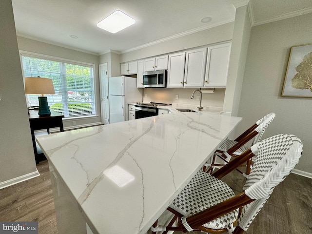 kitchen with a sink, dark wood finished floors, appliances with stainless steel finishes, crown molding, and light stone countertops