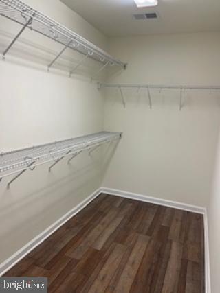 spacious closet featuring visible vents and wood finished floors